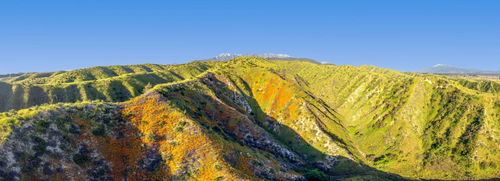 Commercial Roofing in Calimesa, CA